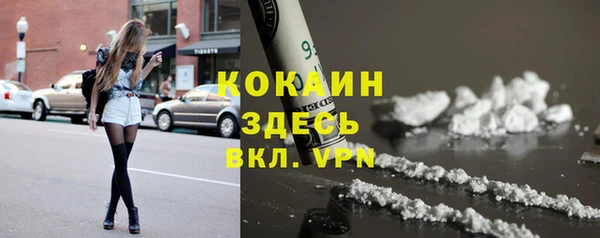 Альфа ПВП Верея