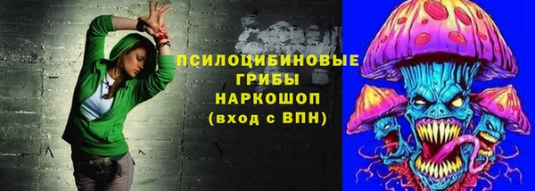 крисы Володарск