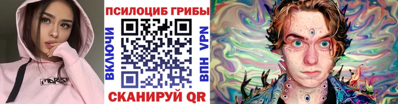 Псилоцибиновые грибы ЛСД  Купить закладки  Лукоянов 